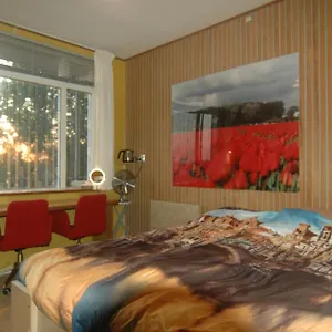 Bed and breakfast Tulip Gallery ***